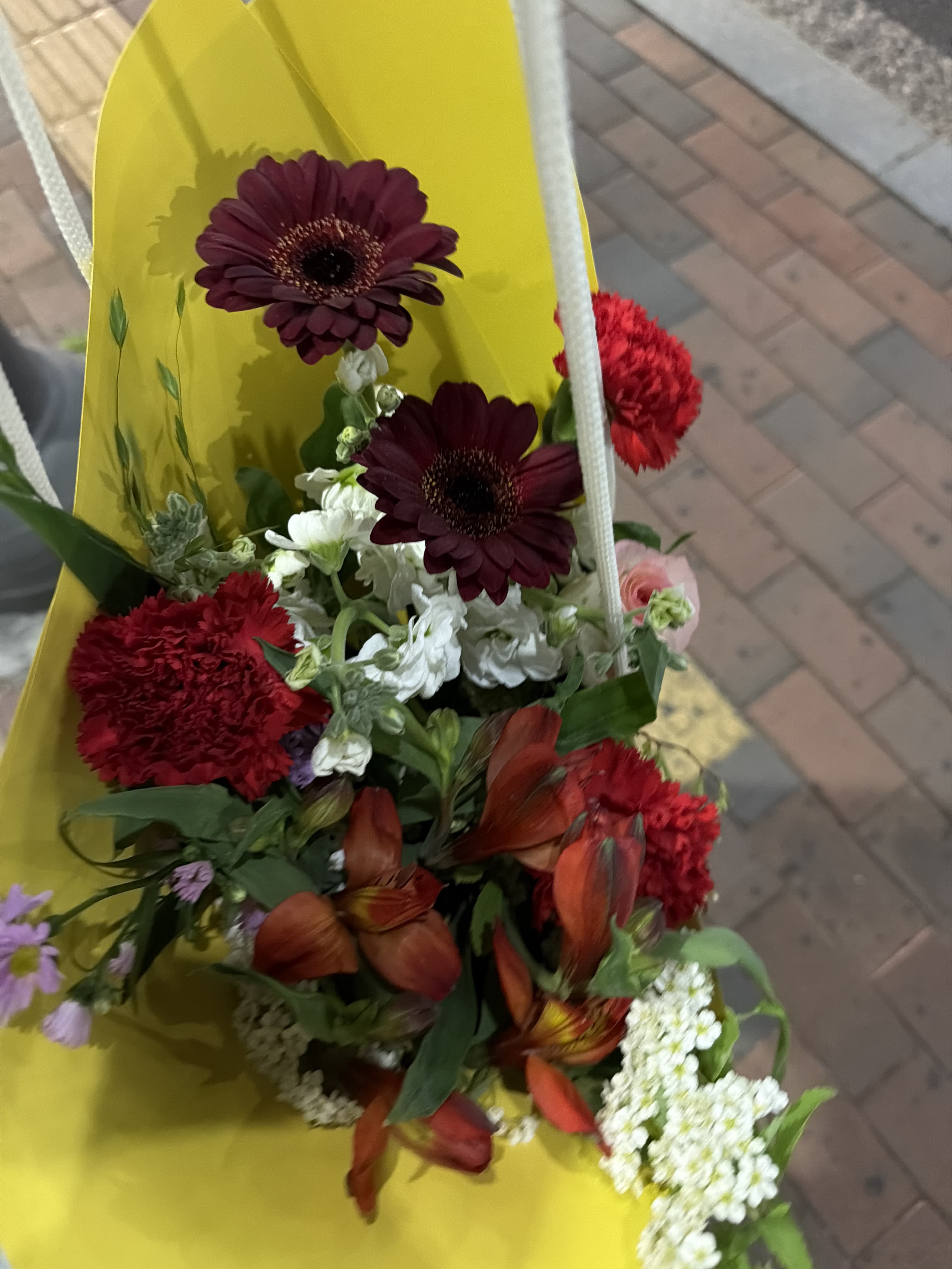 꽃 사진을 보고 든 작은 생각