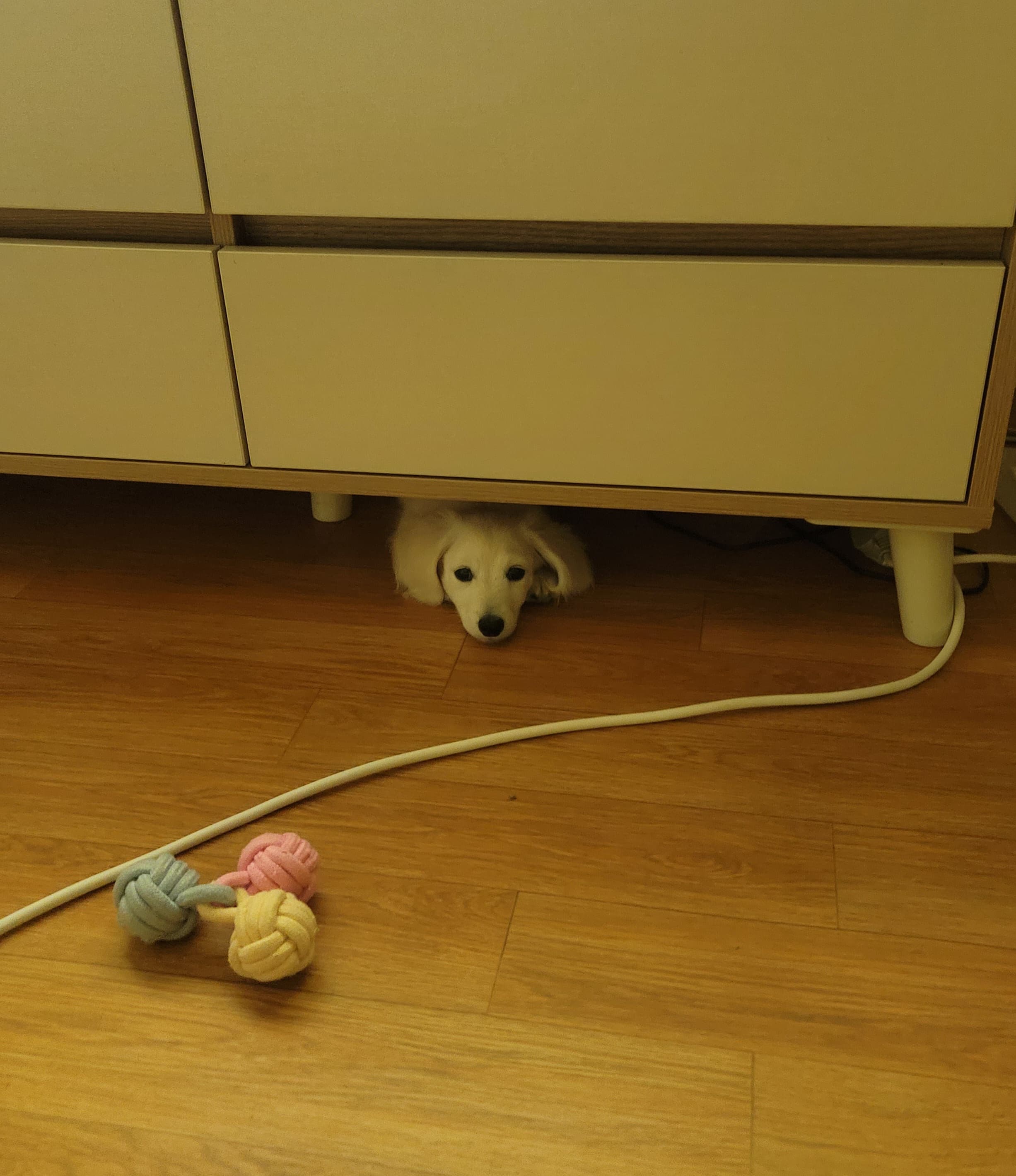 숨었는데 안보이겠지??