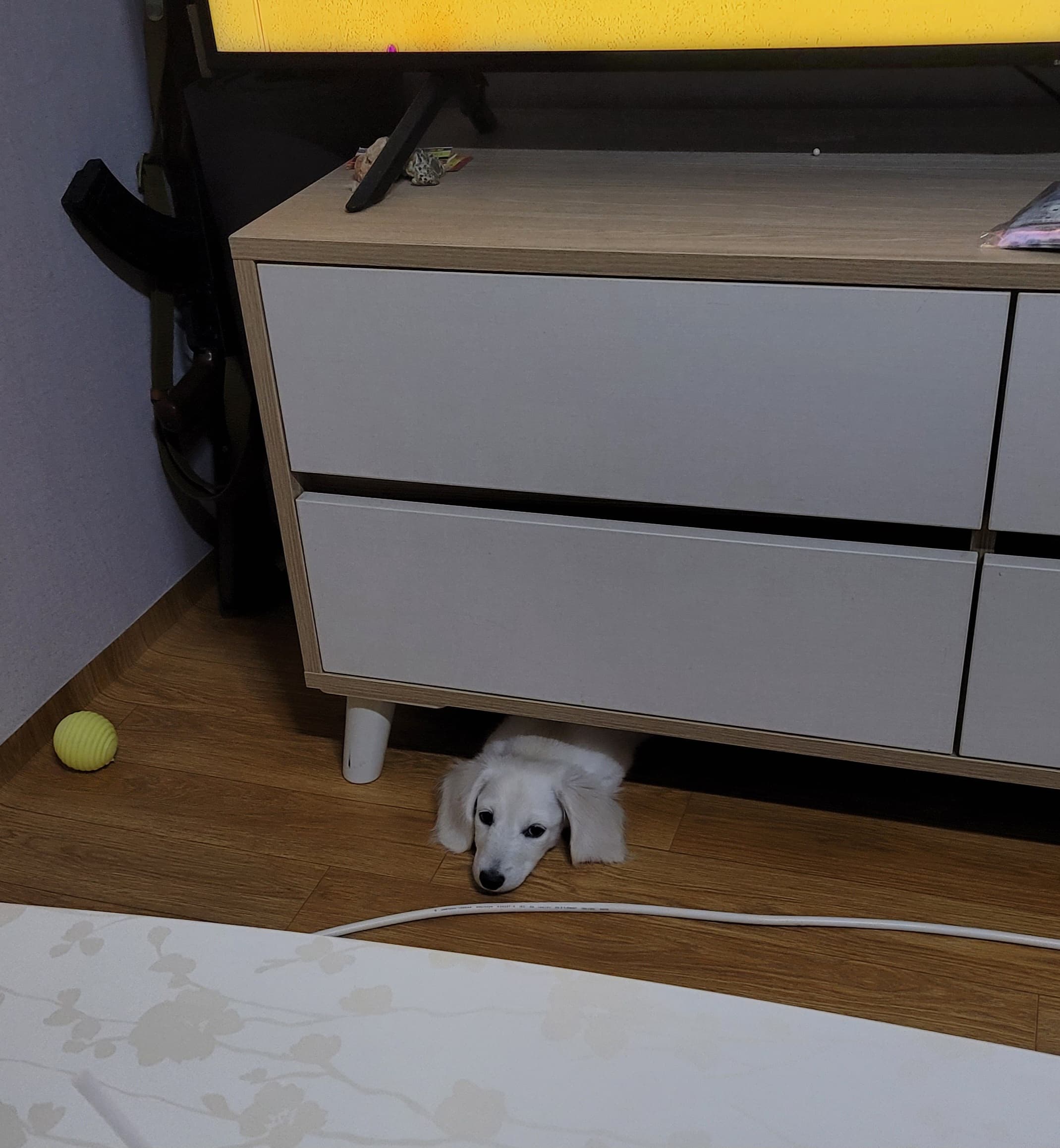 숨었는데 안보이겠지??